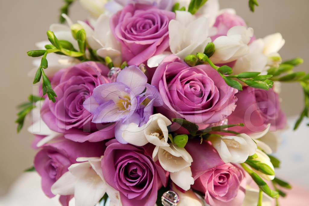 Фотообои Букет красивых роз