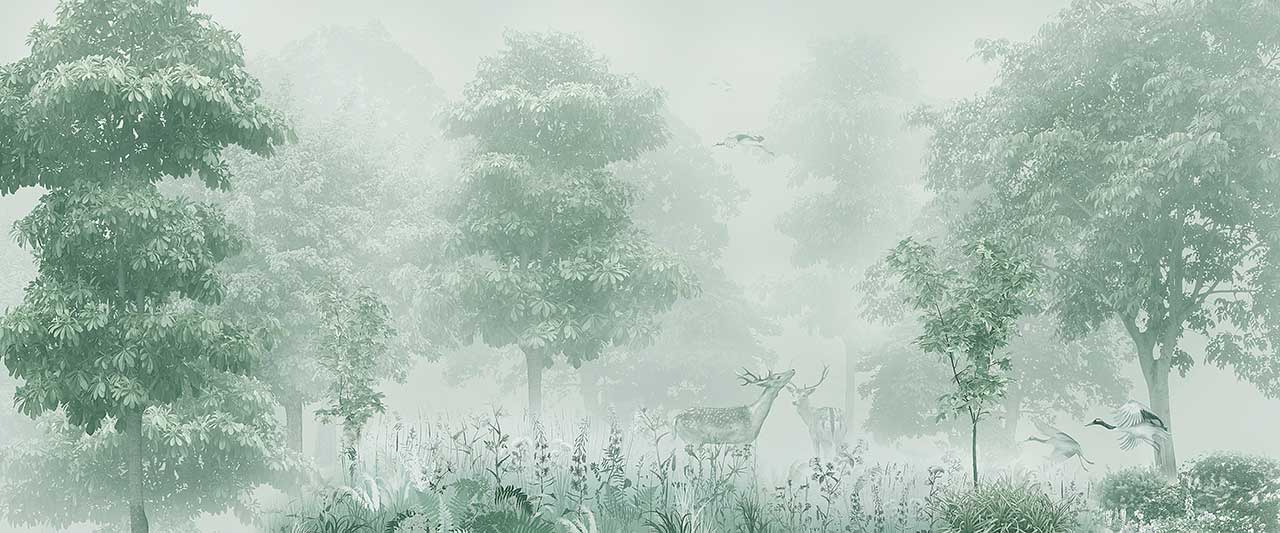 Фотообои Зеленый туман